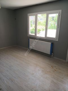 showcase_listing_image