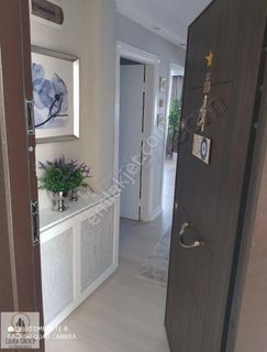 showcase_listing_image