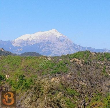 Antalya Kumluca Yazır'da 3.200 m2 Satılık Uygun Fiyatlı Arazi...