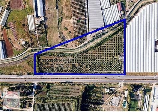 Antalya Serik Yol Üzeri Anayola Cephe Olan 40.667m² Satılık Arsa