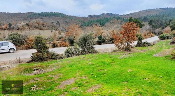 BU FIRSAT BİR DAHA GELMEZ 3822 M2 KÖY CİVARI ARAZİ