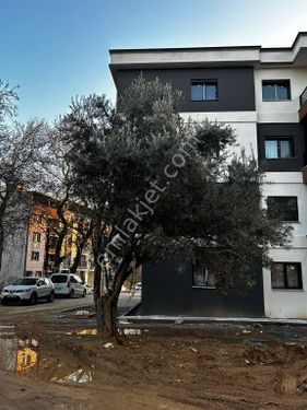 Kemalpaşa/Ulucakta site içinde daireler