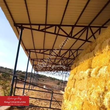  GAZİANTEP ARABAN İLÇESİNDE SATILIK RUHSATLI VE İZİNLİ ÇİFTLİK ALANI....