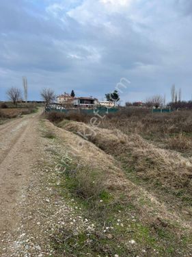 BORAN KÖYÜNDE SATILIK  2 TARLA