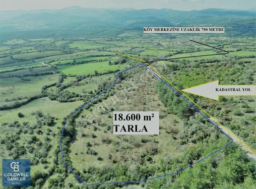 ÇANAKKALE LAPSEKİ BALCILAR'da SATILIK TARLA KÖYE YAKIN