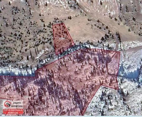 EMET DÜŞECEK KÖYÜNDE YOL CEPHELİ 1319M2 MÜSTAKİL KUPON PARSEL