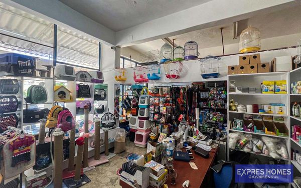  ALANYA ANADOLU HASTANESİ CİVARI DEVREN PETSHOP