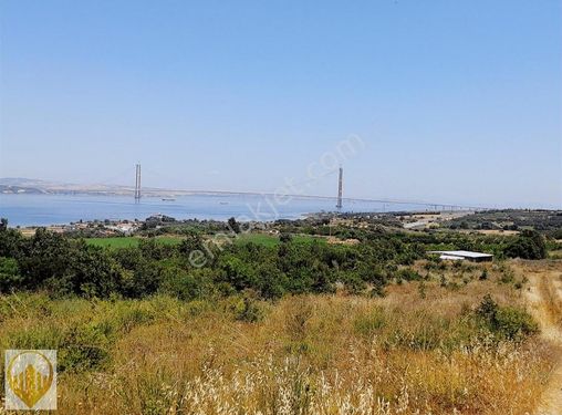 SULUCADA MUHTEŞEM KÖPRÜ MANZARALI TARLA