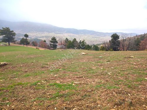  KÜTAHYA EMET DÜŞECEK MAHALLESİNDE SATILIK 1096M2 TARLA 