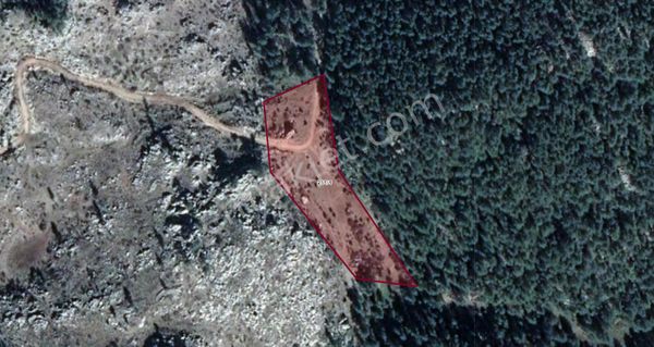  CB PROFEX'TEN BURDUR BUCAK KOCAALİLER-PAZAR 10 DÖNÜM ARAZİ