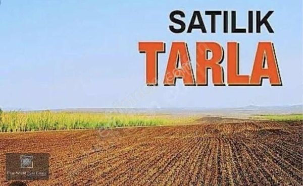 ANTALYA KEMER ÇAMYUVA MERKEZ DE 1600 M2 SATILIK TARLA