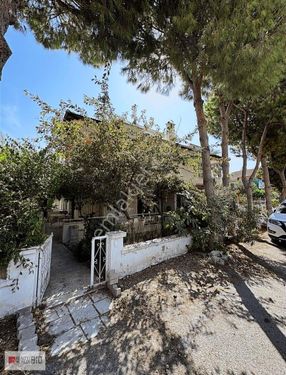RW BIO'DAN URLA ZEYTİNALANINDA SATILIK VİİLA