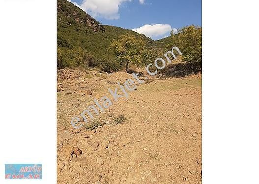 800 M2 UYGUN FİYATA