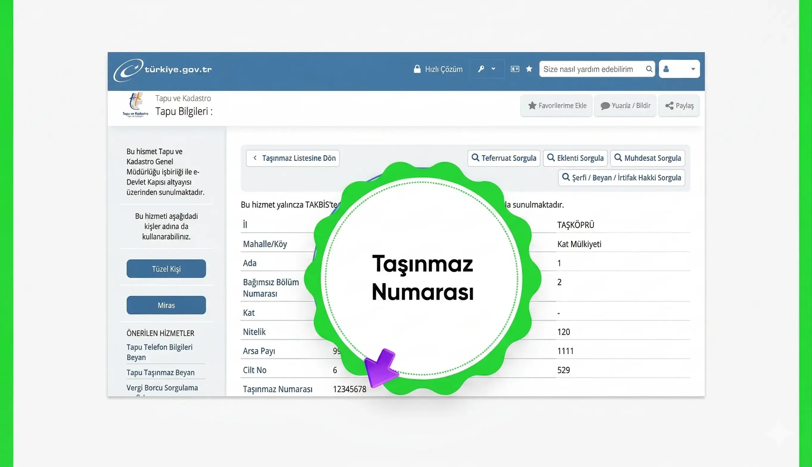 taşınmaz sorgu detay