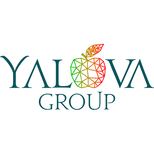 Yalova Group Logo