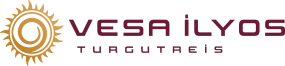 Vesa Group Logo