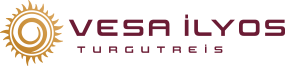 Vesa Group