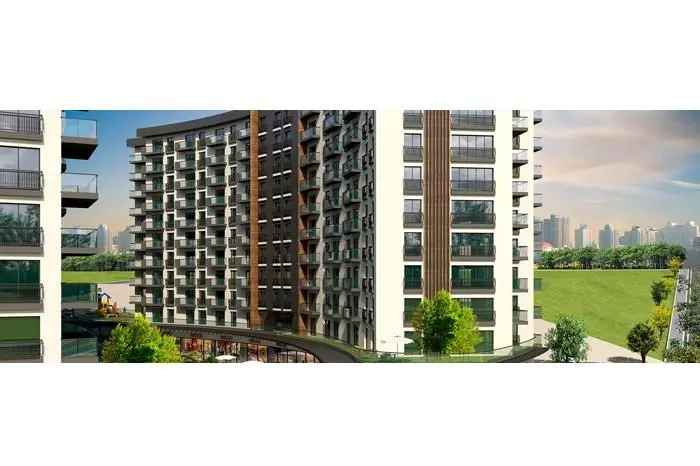 Farilya Asia - 2