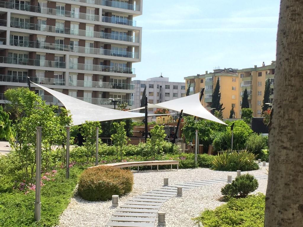 Koru Park