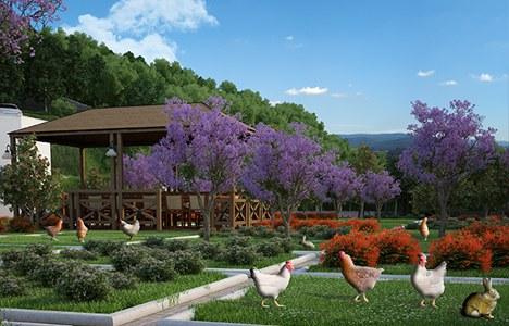Nova Garden - 5