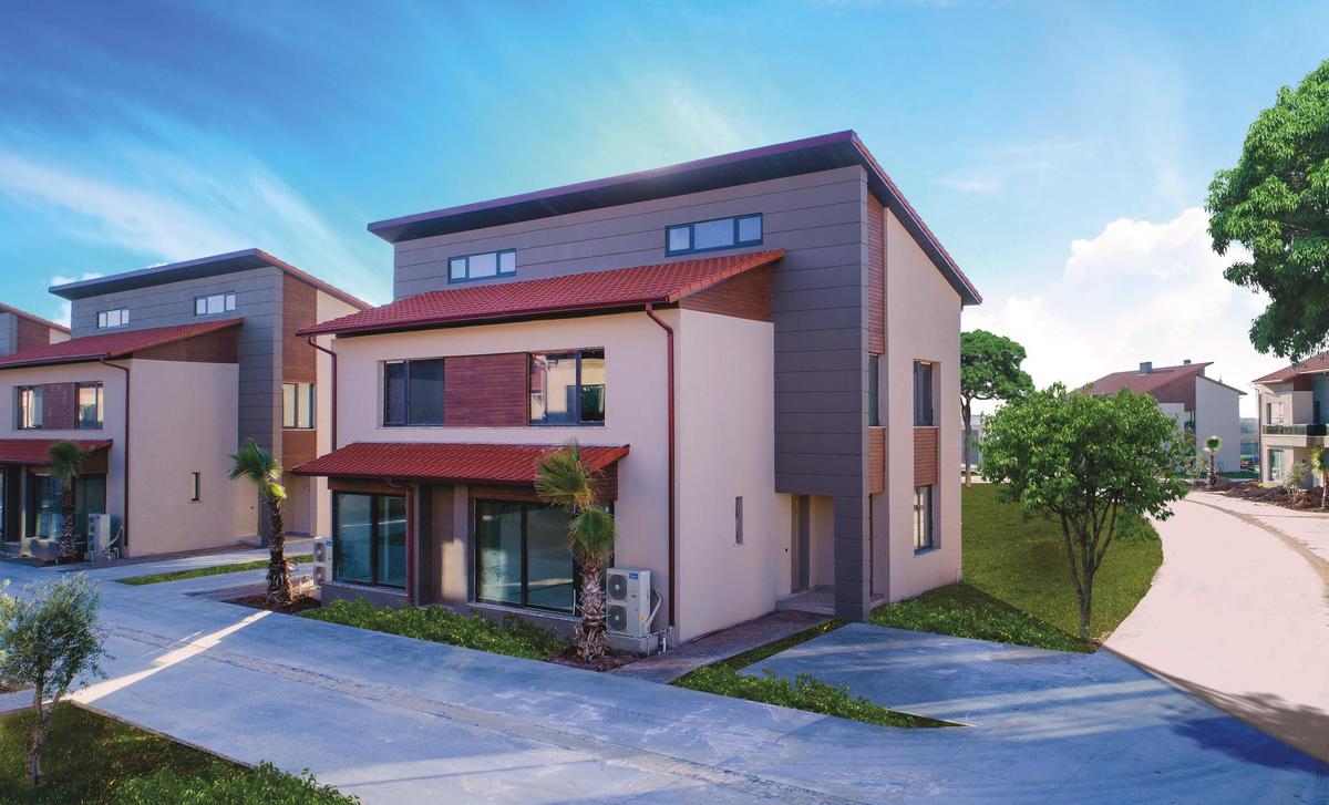Palm City Modern - 2