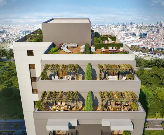 As Concept - 4