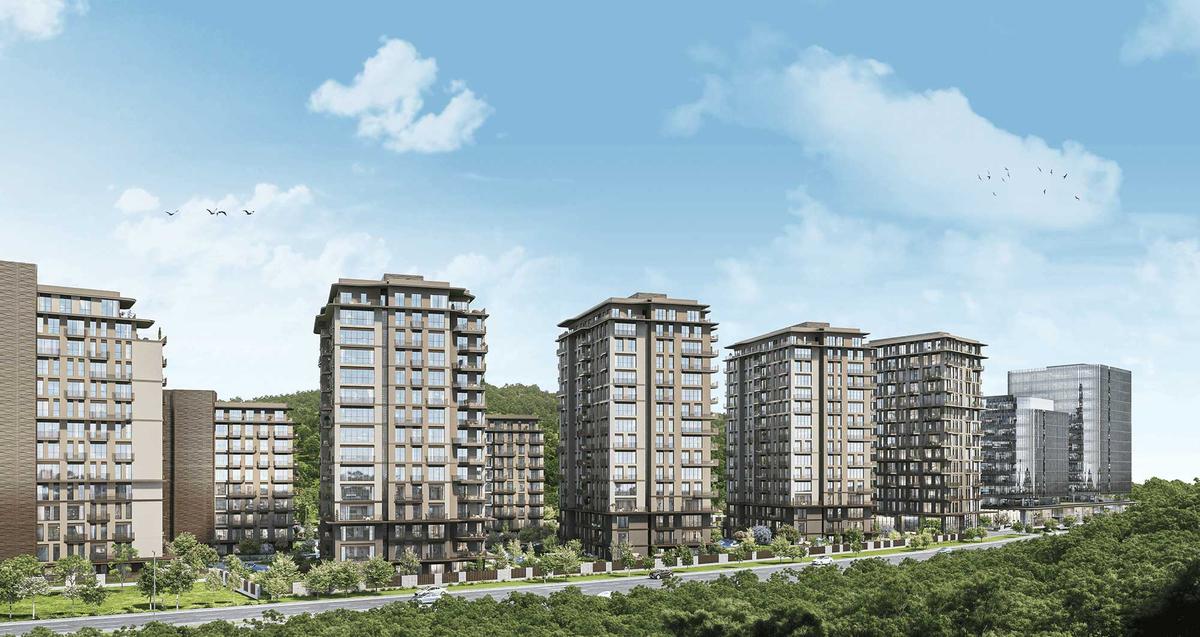 Maslak Koru - 24