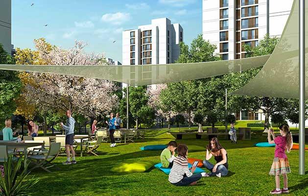 Resim İstanbul Orman - 3