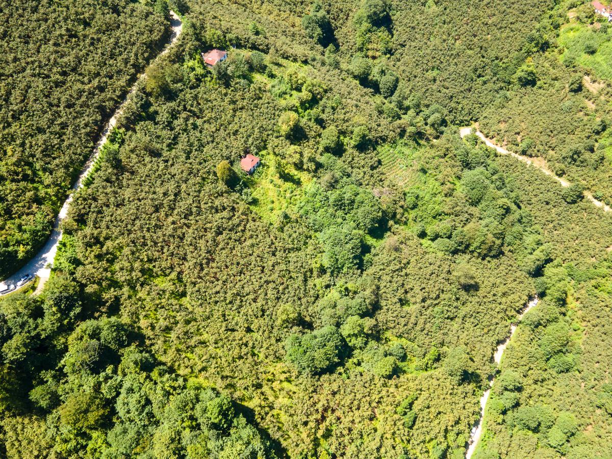 Yol Cepheli Arsa - 3