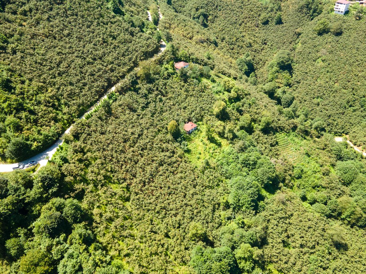 Yol Cepheli Arsa - 4