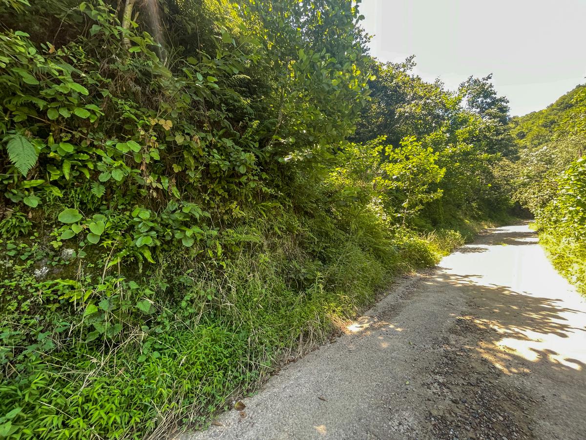 Yol Cepheli Arsa - 9