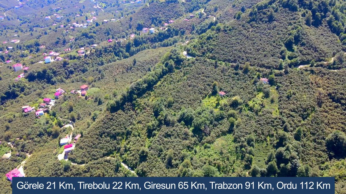 Yol Cepheli Arsa - 12