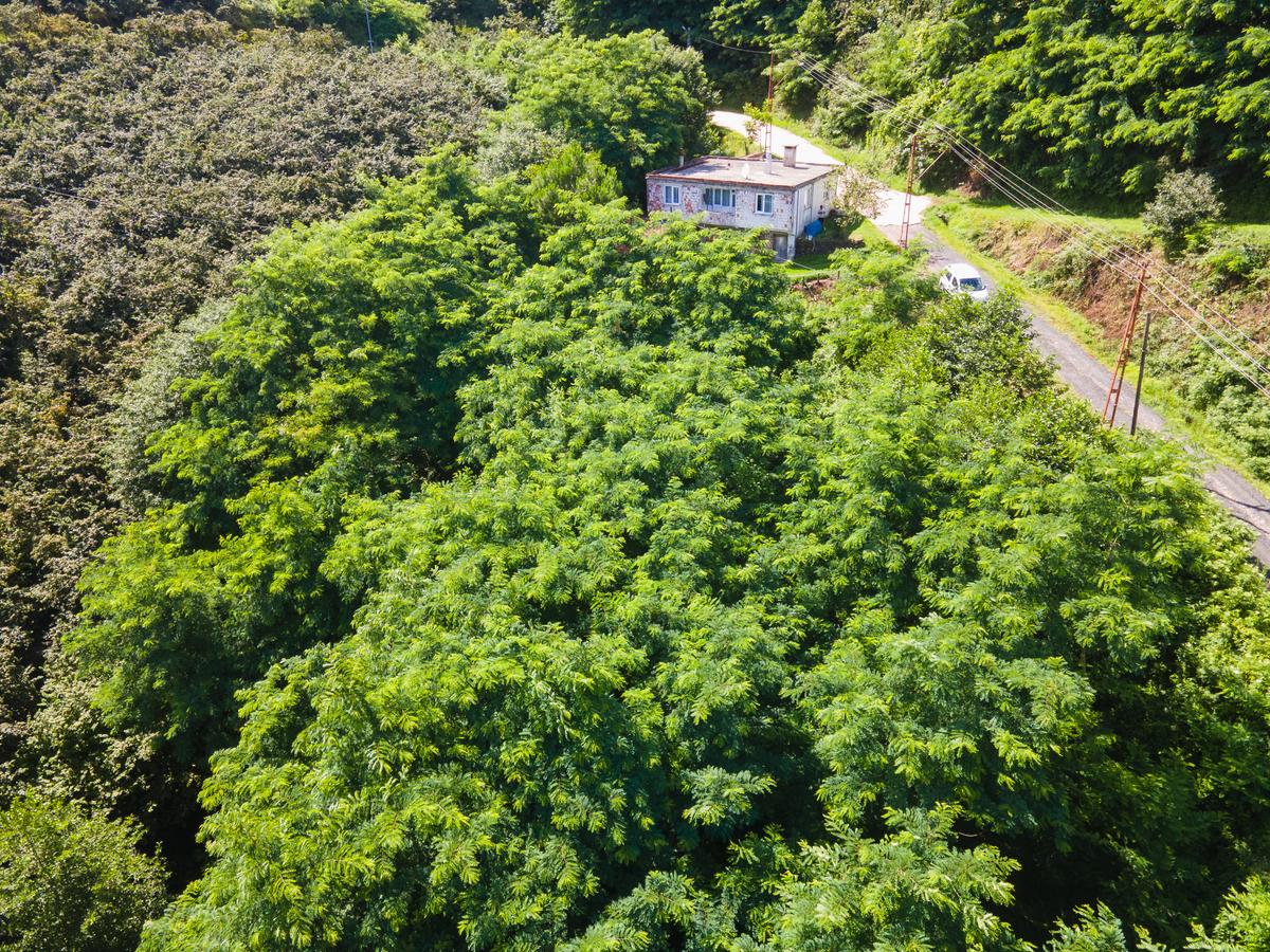 Müstakil Tapulu, İmarlı Arsa - 5