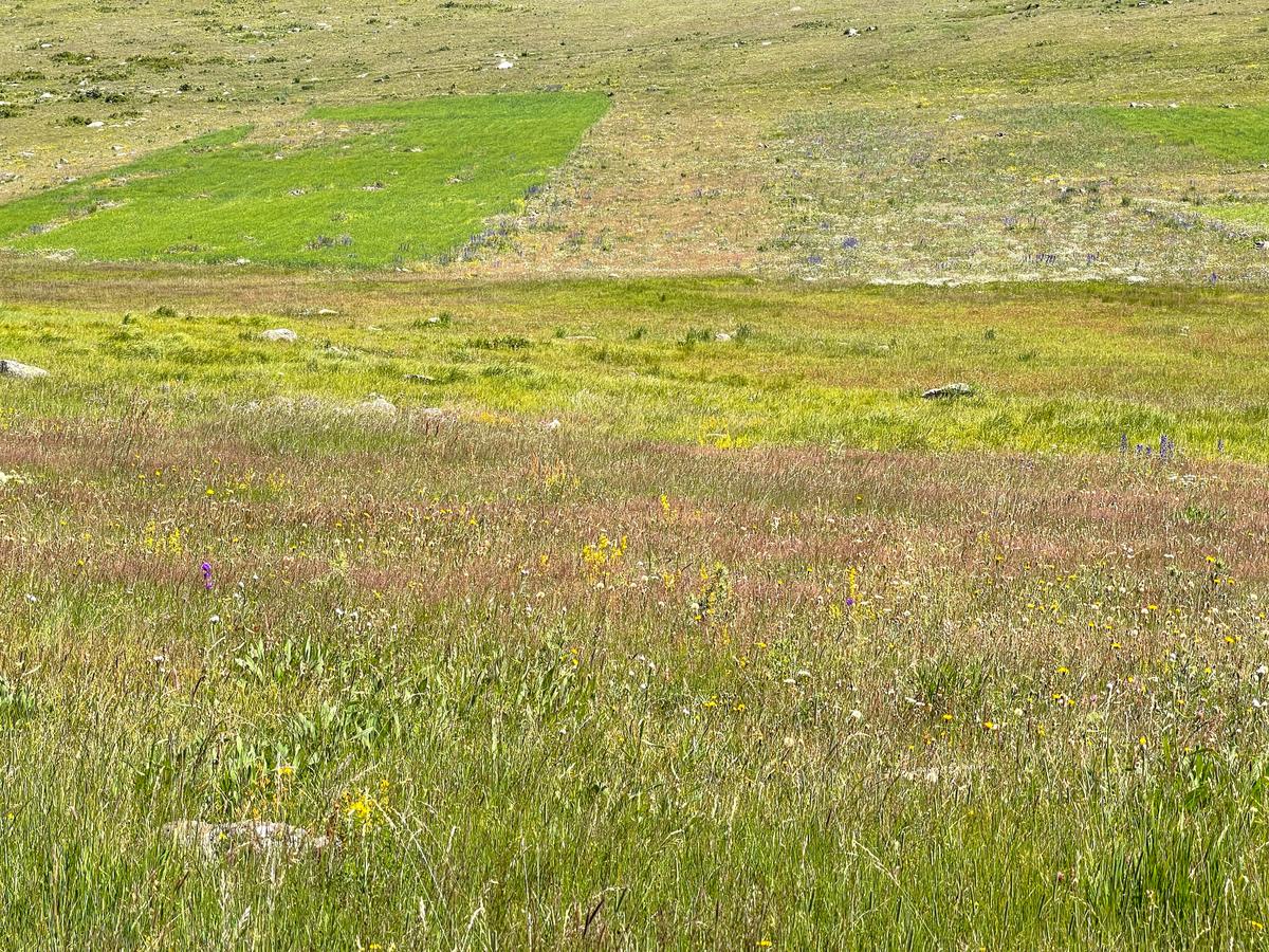 Uygun Fiyatlı Arazi - 7