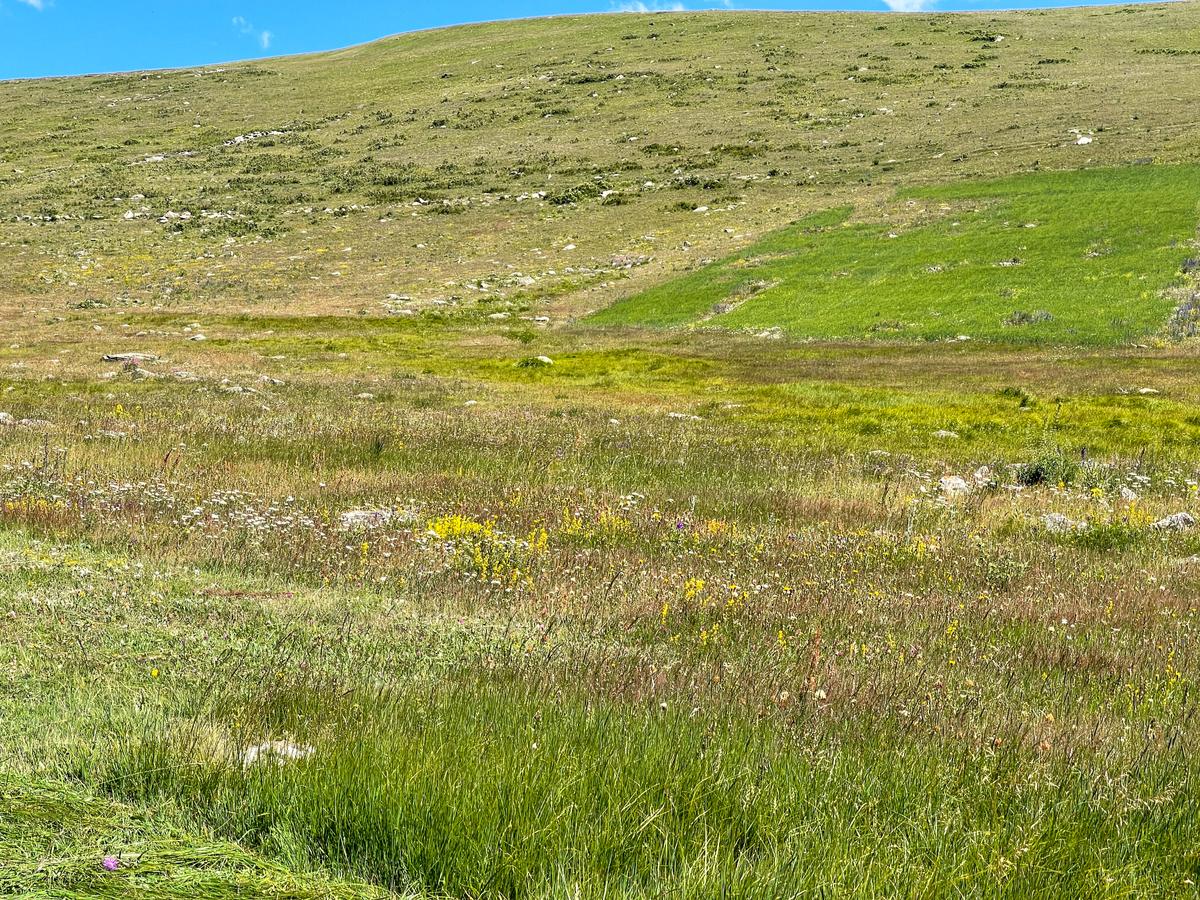 Uygun Fiyatlı Arazi - 9