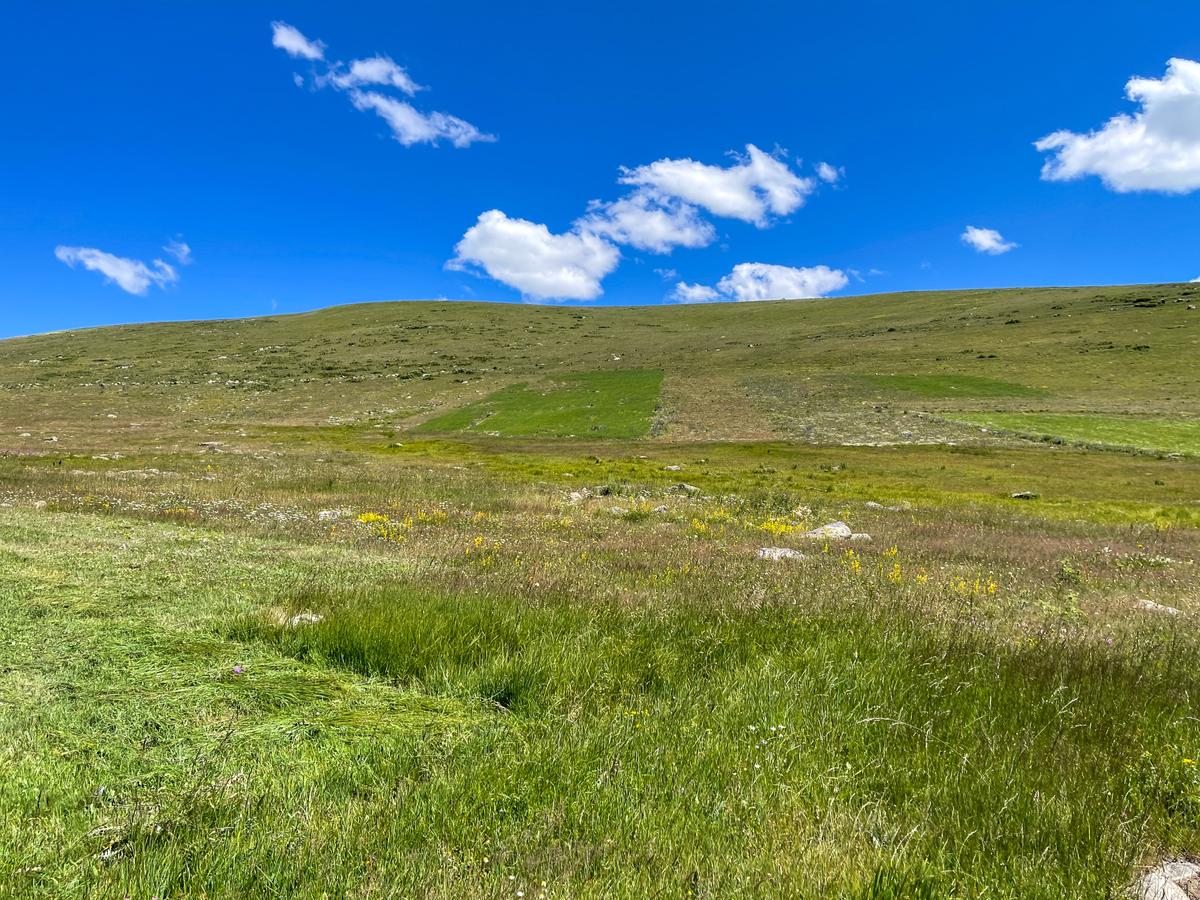 Uygun Fiyatlı Arazi - 10