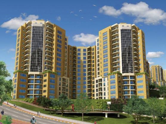 Nish Adalar - 4