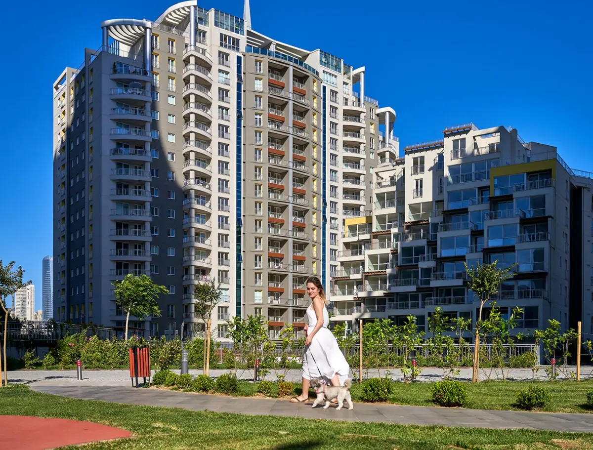 Nuvo Dragos - 7