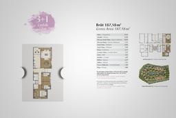 3+1 Konut Planı