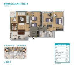 3+1 Konut Planı
