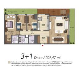 3+1 Konut Planı