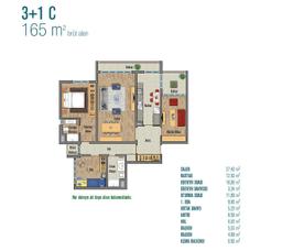 3+1 Konut Planı