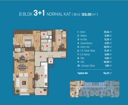 3+1 Konut Planı