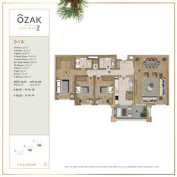 3+1 Konut Planı