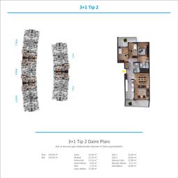 3+1 Konut Planı