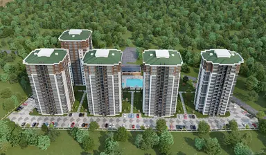 Forest City 2