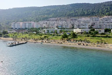 Ege Yıldızı
