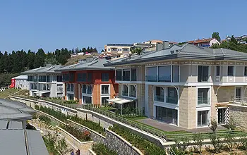 Antteras