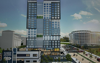 Cadde 24-24 Gayrimenkul