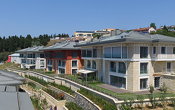 Antteras-Ant Yapı